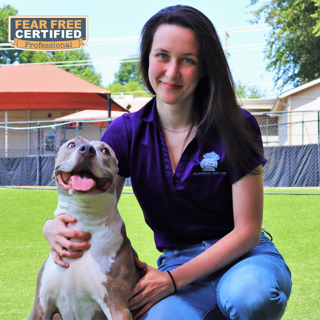 Staff sitting next to a dog in a play yard