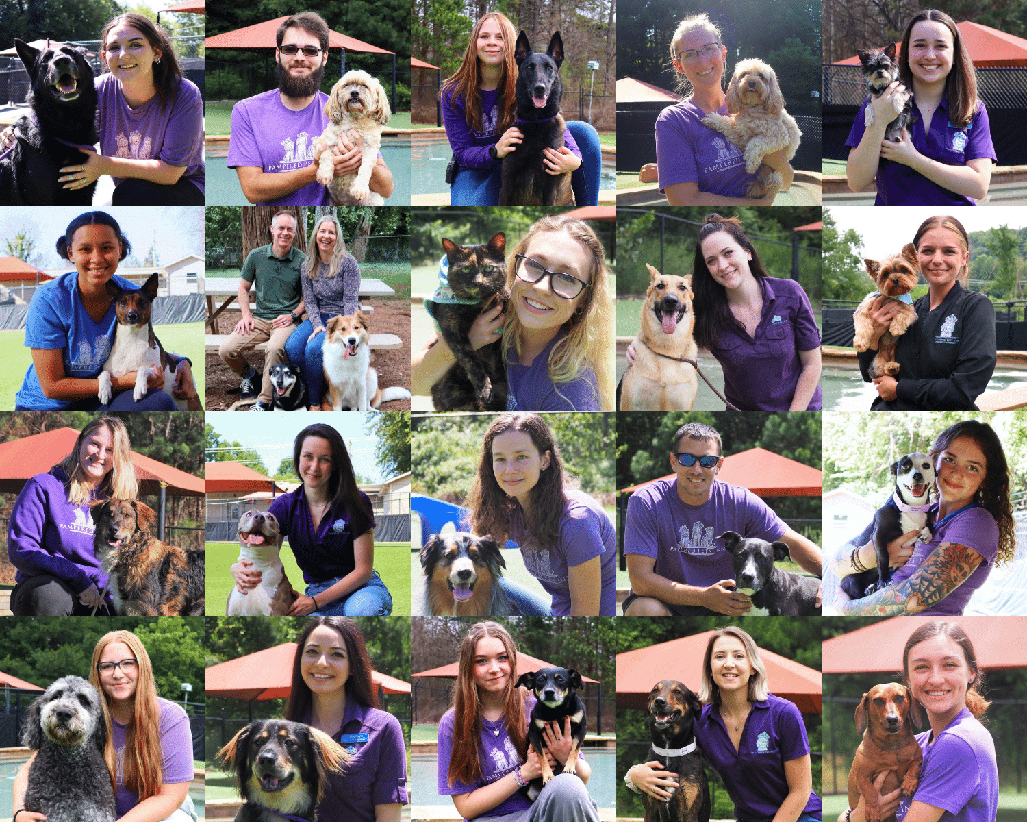 A collage of staff portraits